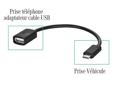 Types de câbles de vidéoprojecteur et adaptateurs à utiliser 