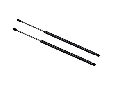 Lot de 2 Verins de Coffre Classe V W447