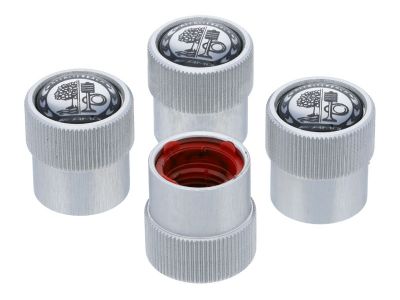 Capuchons de valve gris AMG - jeu de 4 unités