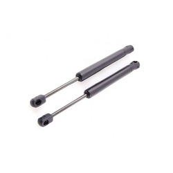 Lot de 2 Verins de Coffre SLK W171